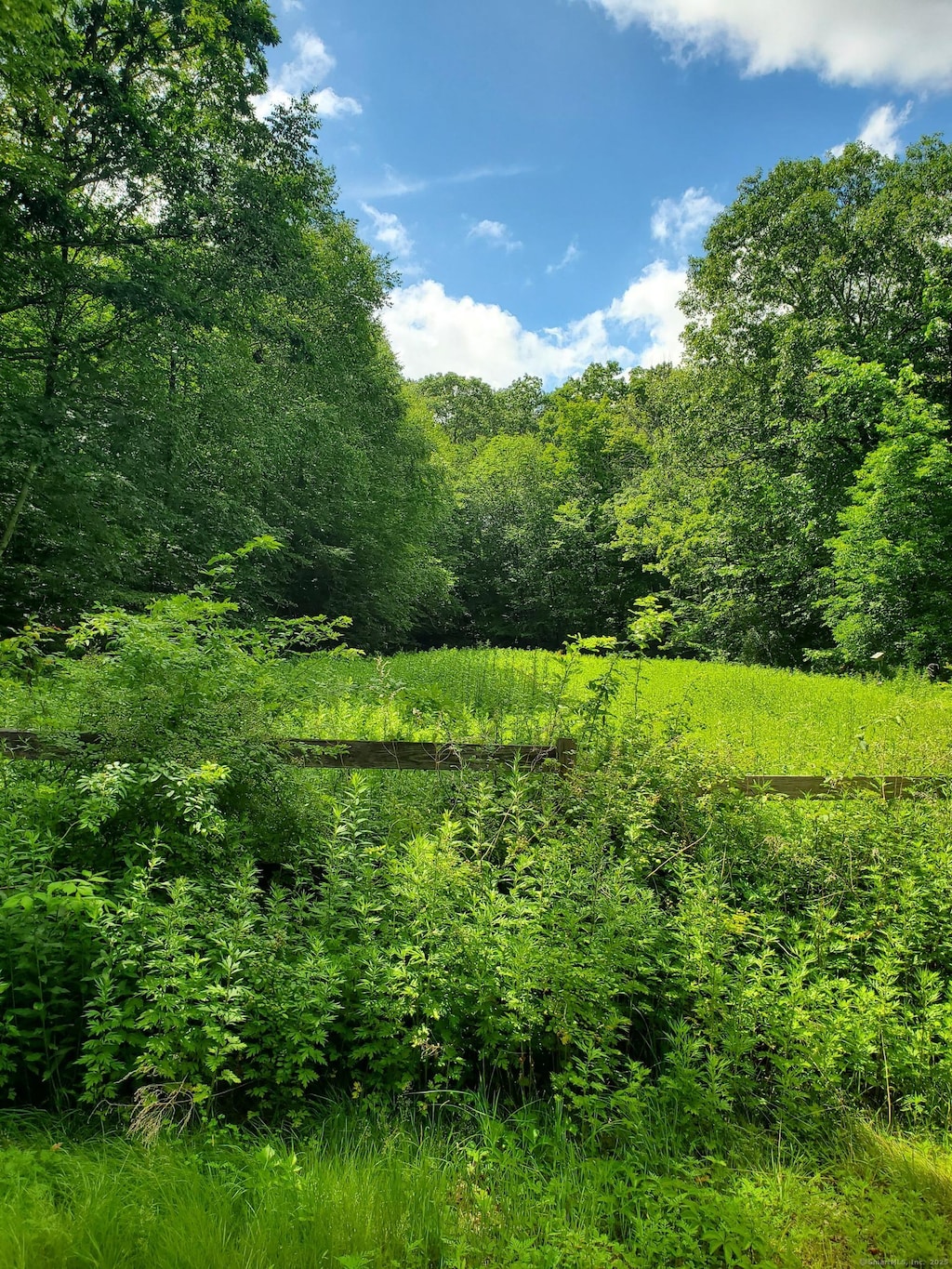 LOT4A Weeks Rd W, Eastford, CT 06242 - photo 1