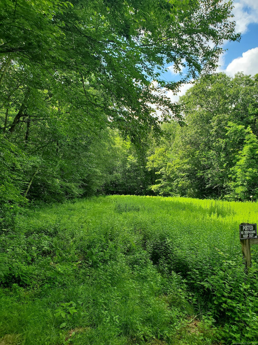 LOT4A Weeks Rd W, Eastford, CT 06242 - photo 2
