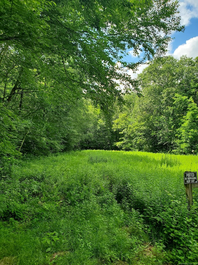 LOT4A Weeks Rd W, Eastford, CT 06242 - photo 2