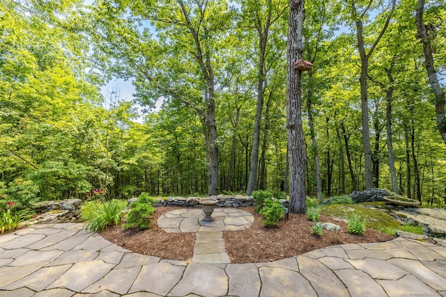 27 Doubleday Rd, Columbia, CT 06237 - photo 33