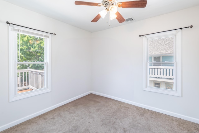 98 Cherrelyn St, Springfield, MA 01104 - photo 28