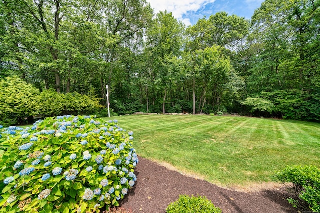 45 Summersweet Dr, Haddam, CT 06441 - photo 6