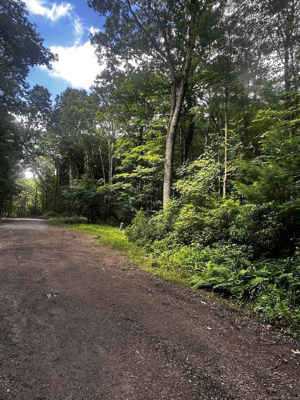 Lustig Rd, Ashford, CT 06278 - photo 2