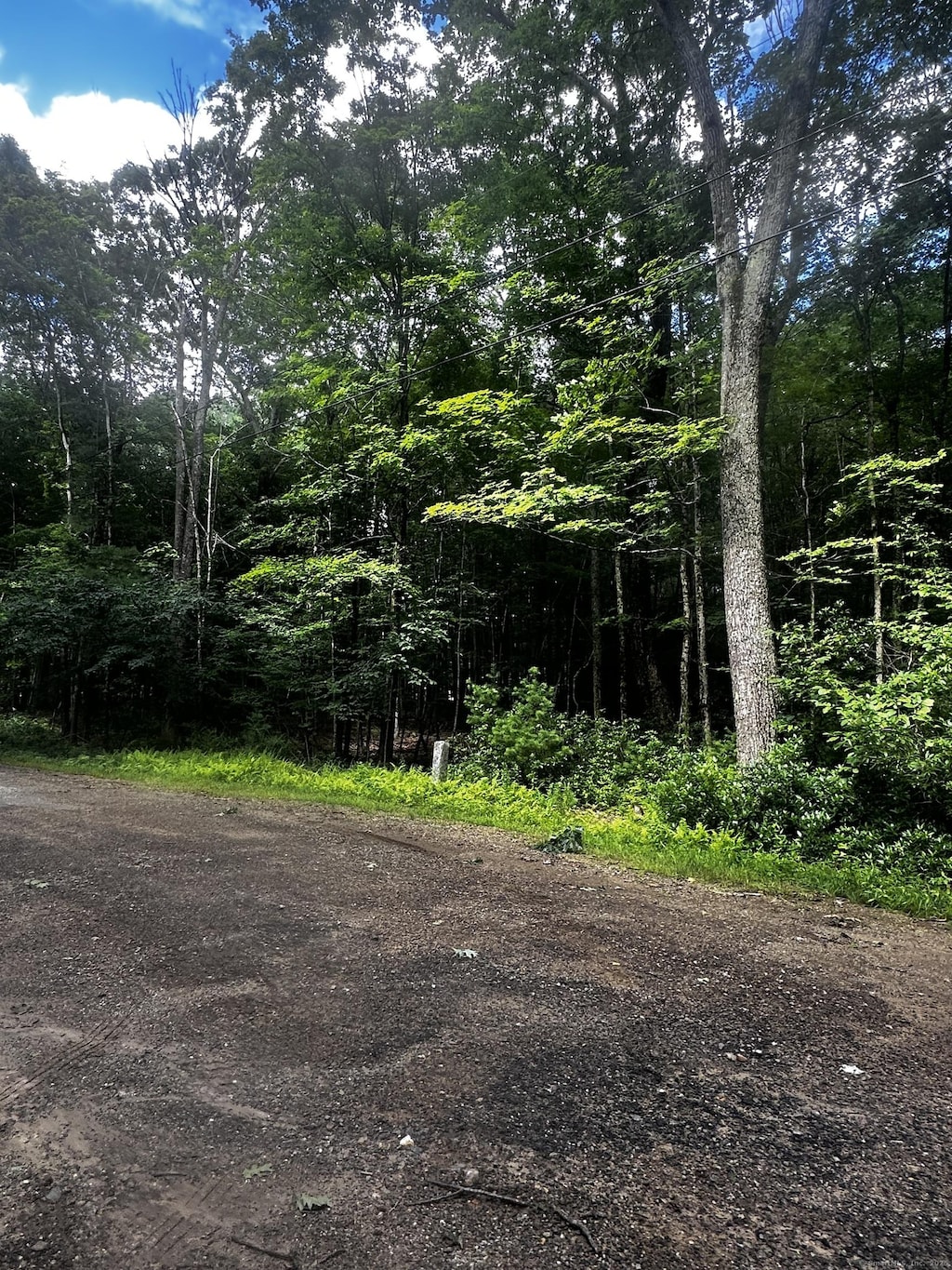 Lustig Rd, Ashford, CT 06278 - photo 3