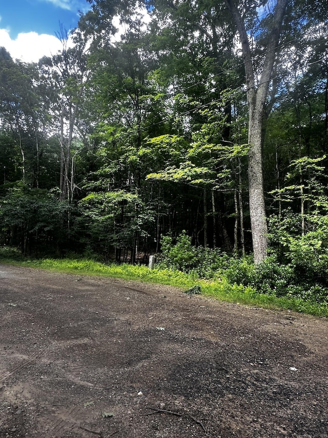 Lustig Rd, Ashford, CT 06278 - photo 3