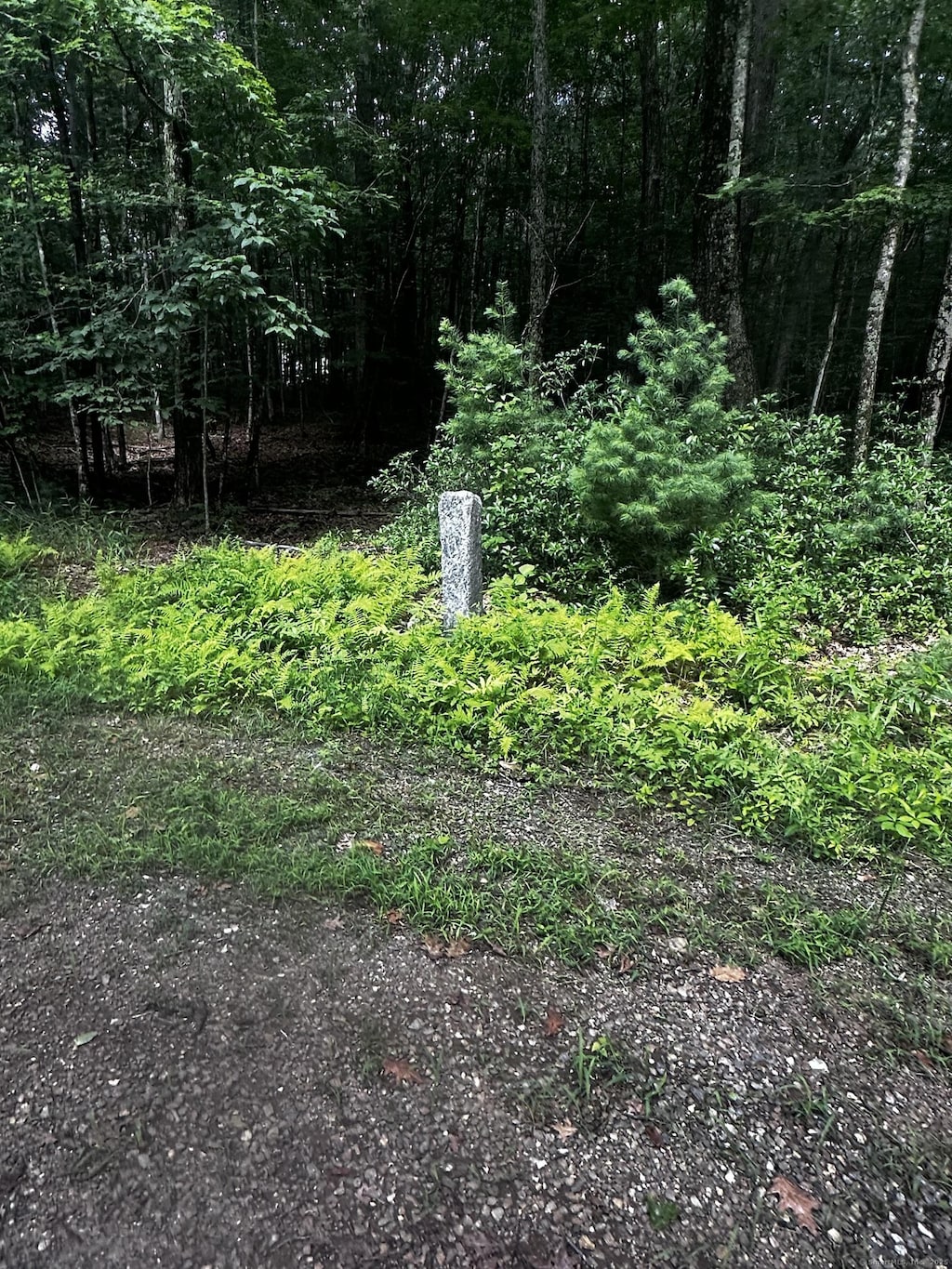 Lustig Rd, Ashford, CT 06278 - photo 1