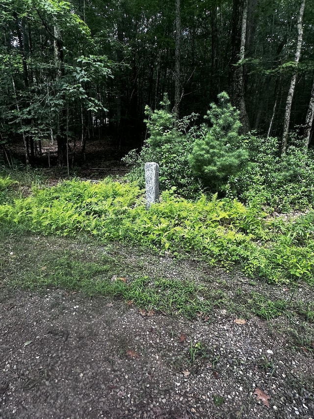 Lustig Rd, Ashford, CT 06278 - photo 1