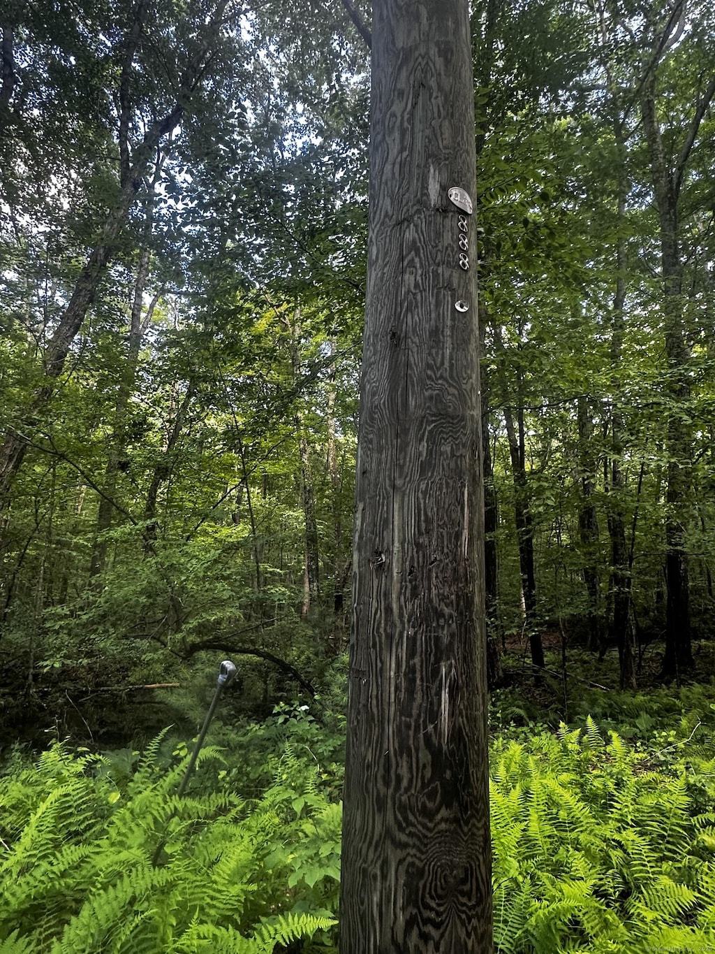 Lustig Rd, Ashford, CT 06278 - photo 4