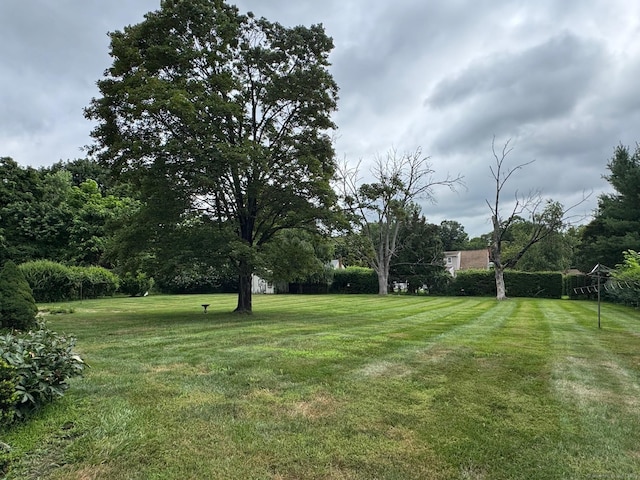 135 Great Plain Rd, Danbury, CT 06811 - photo 32