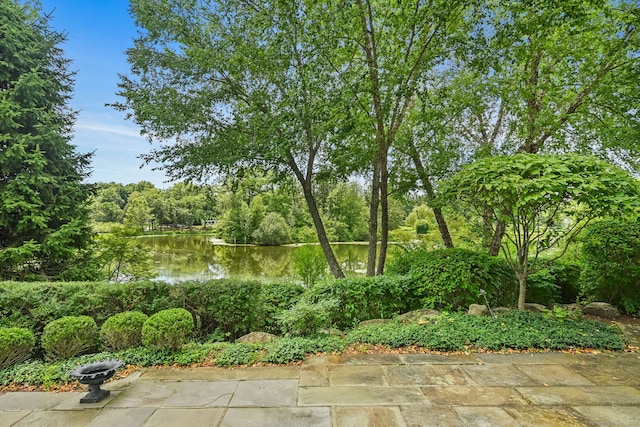 217 Park St Unit 217, New Canaan, CT 06840 - photo 27