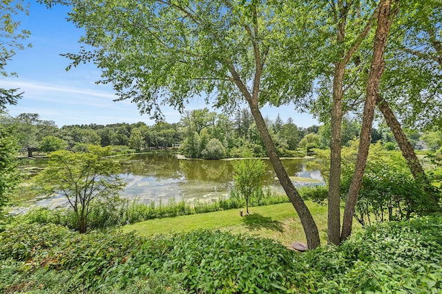 217 Park St Unit 217, New Canaan, CT 06840 - photo 29