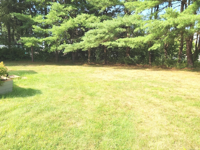 517 W Avon Rd, Avon, CT 06001 - photo 7