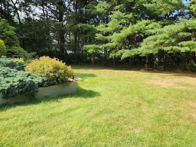 517 W Avon Rd, Avon, CT 06001 - photo 8
