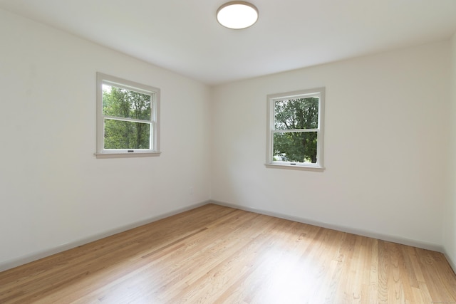 29 Bates Dr, Cheshire, CT 06410 - photo 21