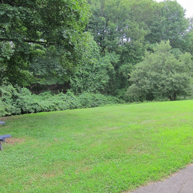 130 Jefferson Ave Unit 2, Bristol, CT 06010 - photo 12