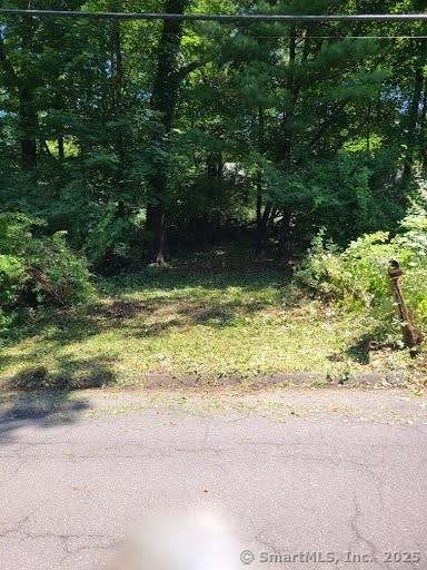 19 Candle Hill Rd, New Fairfield, CT 06812 - photo 2