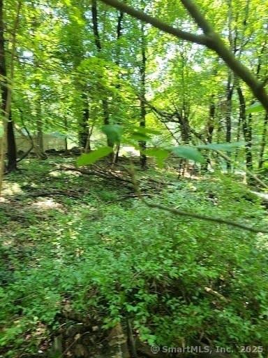 19 Candle Hill Rd, New Fairfield, CT 06812 - photo 11