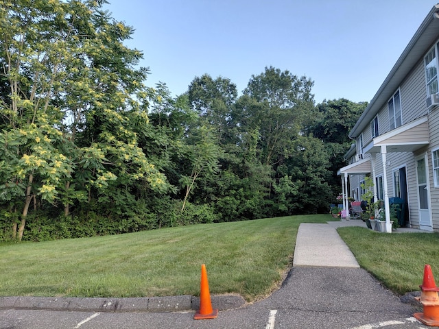 92 Hamden Ave Apt 2, Waterbury, CT 06704 - photo 4
