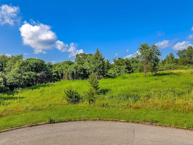 33 Farm View Dr, Norwich, CT 06360 - photo 4