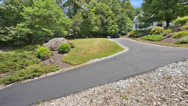 57 Holbrook Rd, Seymour, CT 06483 - photo 32