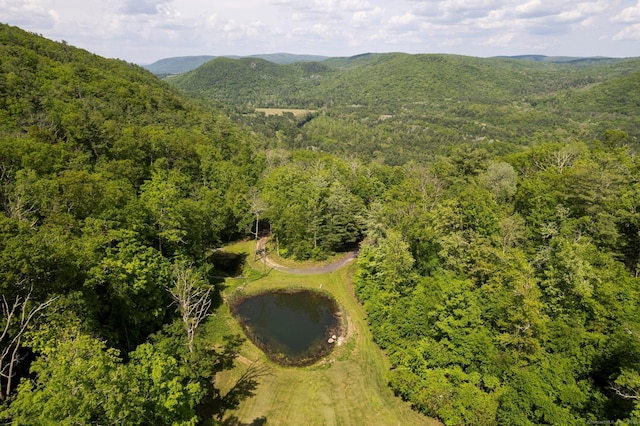 6 Claudia Ln, Sharon, CT 06069 - photo 20