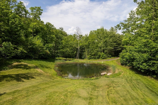 6 Claudia Ln, Sharon, CT 06069 - photo 21