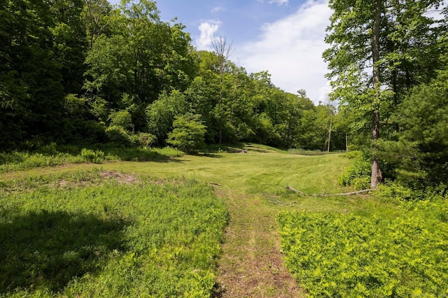 6 Claudia Ln, Sharon, CT 06069 - photo 22