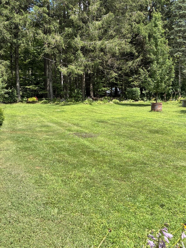 186 Mill St, Hartland, CT 06065 - photo 4