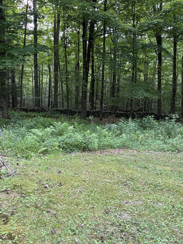 186 Mill St, Hartland, CT 06065 - photo 5