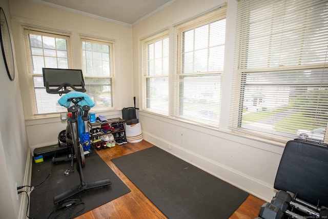 40 Bretton Rd, West Hartford, CT 06119 - photo 20