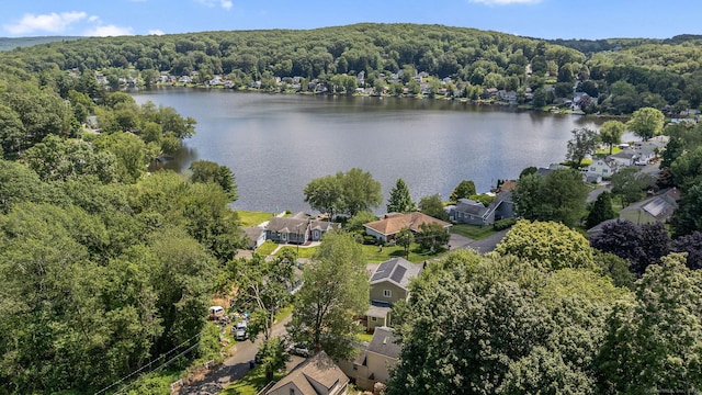 17 Lake Plymouth Blvd, Plymouth, CT 06782 - photo 2