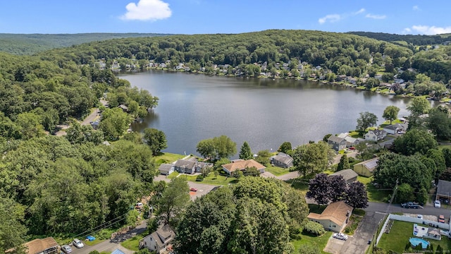 17 Lake Plymouth Blvd, Plymouth, CT 06782 - photo 37