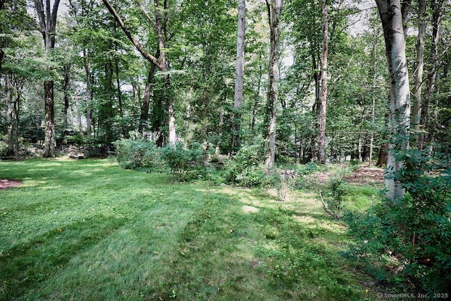 135 Foxwood Rd, Stamford, CT 06903 - photo 32