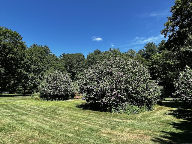 14 Church St, Plymouth, CT 06786 - photo 9