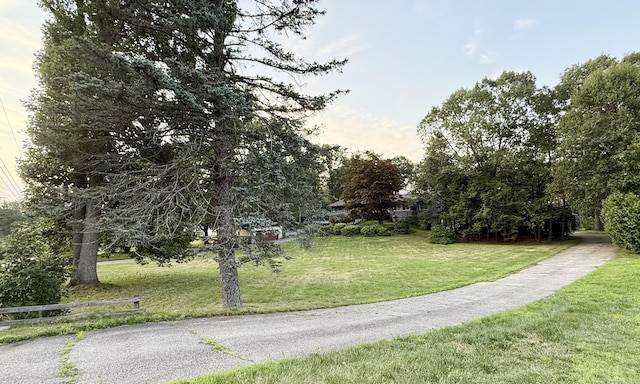 19 Davis Rd, Seymour, CT 06483 - photo 32