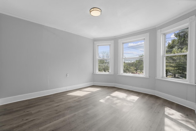 542 Norman St, Bridgeport, CT 06605 - photo 28