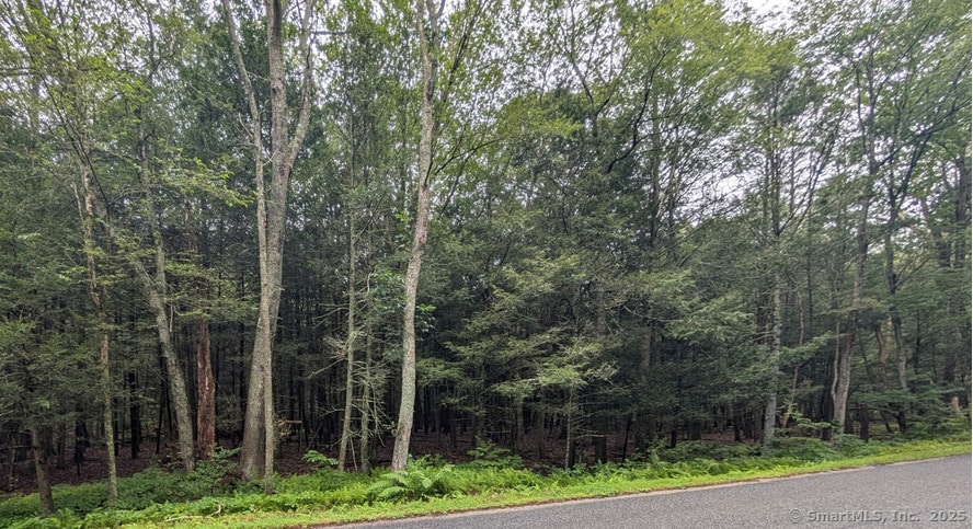 166 Taft Pond Rd, Pomfret, CT 06259 - photo 1