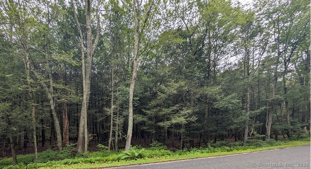 166 Taft Pond Rd, Pomfret, CT 06259 - photo 1
