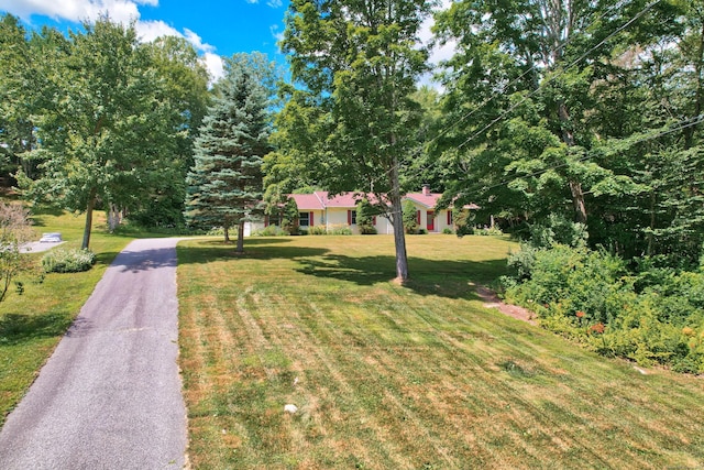 35 Andre Dr, Litchfield, CT 06778 - photo 5