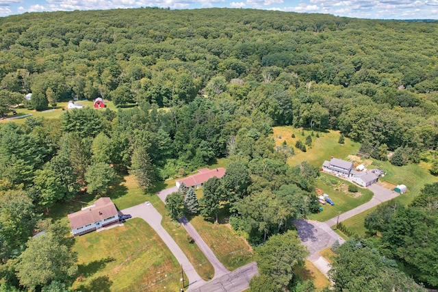 35 Andre Dr, Litchfield, CT 06778 - photo 34