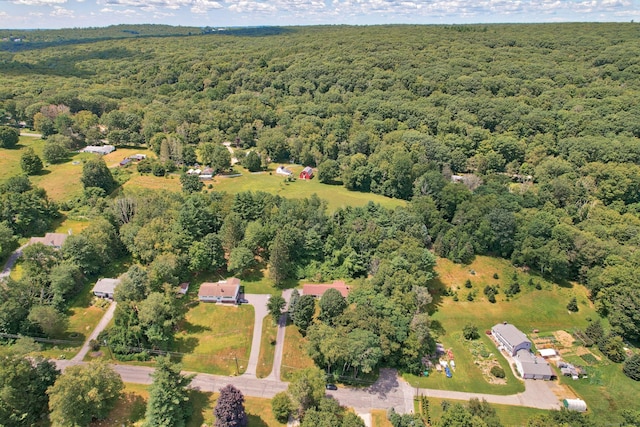 35 Andre Dr, Litchfield, CT 06778 - photo 32