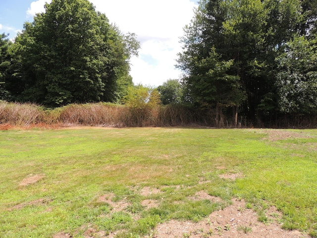 1844LOT1 Main St, East Hartford, CT 06118 - photo 6
