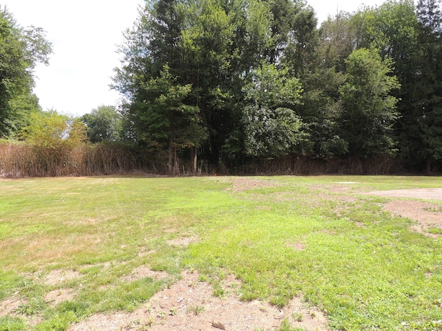 1844LOT1 Main St, East Hartford, CT 06118 - photo 7