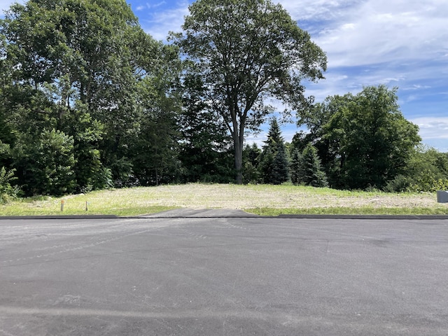0 Mason Ave, Waterbury, CT 06708 - photo 4