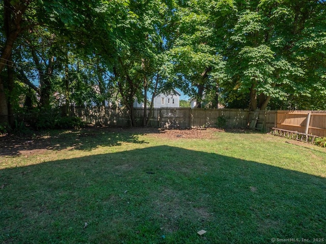 32 E Pearl St, New Haven, CT 06513 - photo 21