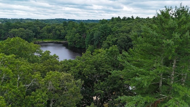 122 Lovers Ln, Windham, CT 06280 - photo 29