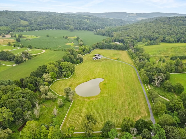 476 Carpenter Hill Rd, Pine Plains, NY 12567 - photo 1