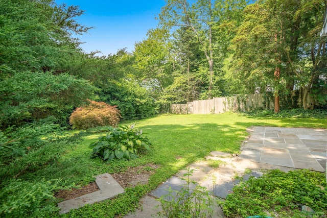 33 Halsey Dr, Greenwich, CT 06870 - photo 24