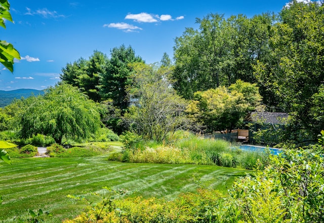 164 E St, Sharon, CT 06069 - photo 30