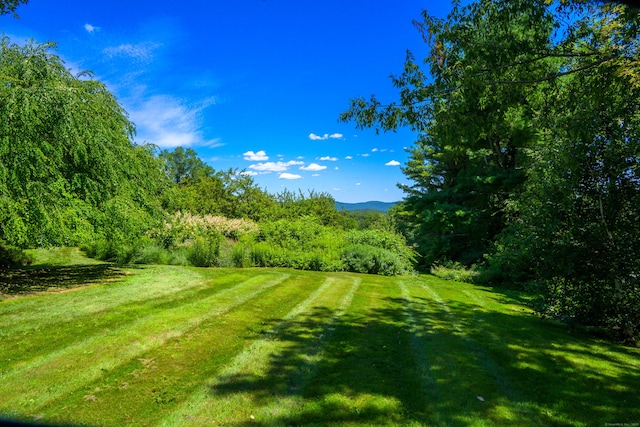 164 E St, Sharon, CT 06069 - photo 4